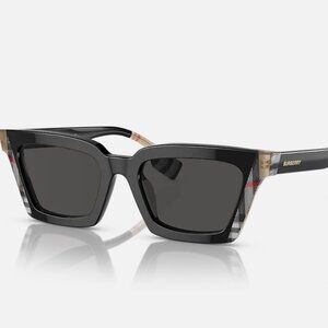Chic Burberry Briar Sunglasses | NIB  BE4392U Briar